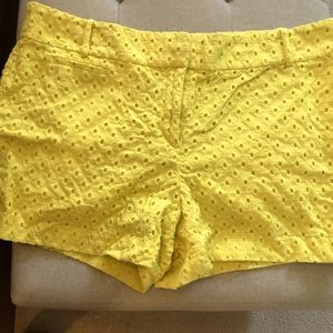 Loft Eyelet Shorts Size 14